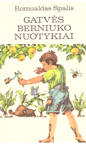 Gatvės berniuko nuotykiai - Romualdas Spalis