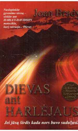 Dievas ant Harlėjaus - Joan Brady