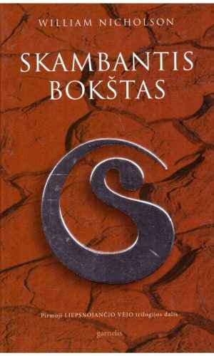 Skambantis bokštas - William Nicholson