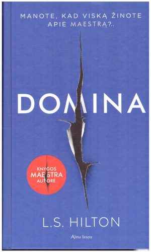 Domina - L. S. Hilton