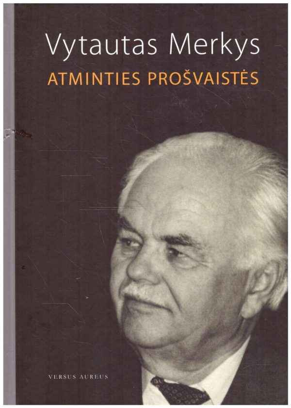 Atminties prošvaistės - Vytautas Merkys