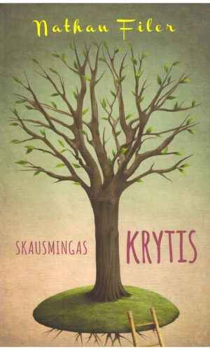 Skausmingas krytis - Nathan Filer
