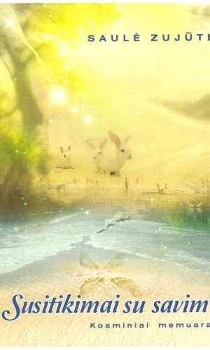 Susitikimai su savimi - Saulė Zujūtė