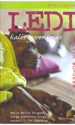 Ledi kalės gyvenimas - Melvin Burgess