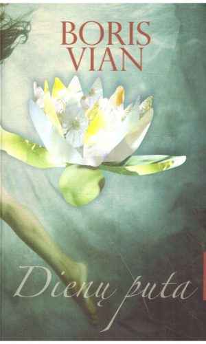 Dienų puta - Vian Boris