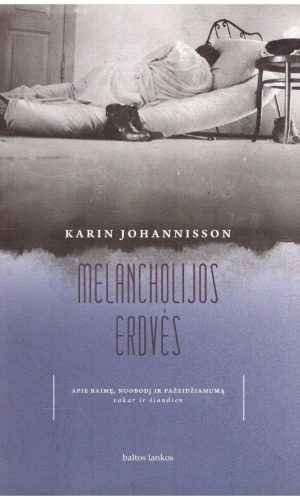 Melancholijos erdvės. Apie baimę, nuobodį ir pažeidžiamumą - Karin Johannisson