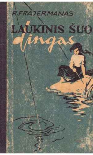 Laukinis šuo Dingas, arba apysaka apie pirmąją meilę - R. Frajermanas