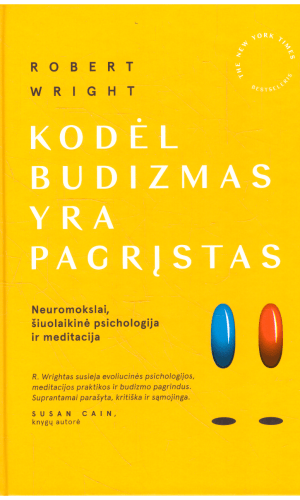 Kodėl budizmas yra pagrįstas: neuromokslai, šiuolaikinė psichologija ir meditacija - Robert Wright