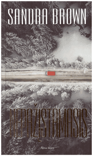 Nepažįstamasis - Sandra Brown