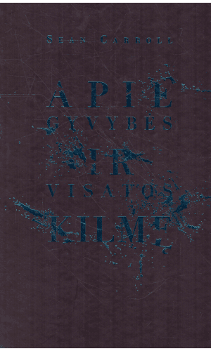 Apie gyvybės ir Visatos kilmę - Sean Carroll