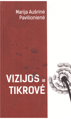 Vizijos ir tikrovė - Marija Aušrinė Pavilionienė
