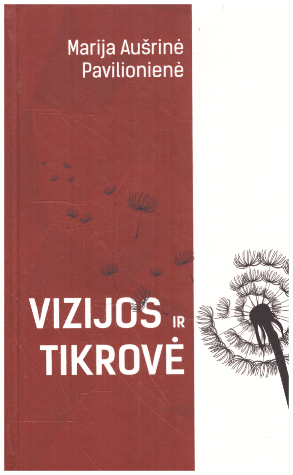 Vizijos ir tikrovė - Marija Aušrinė Pavilionienė