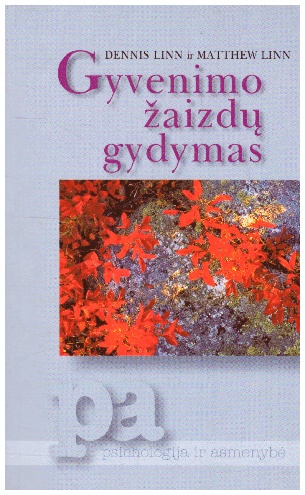 Gyvenimo žaizdų gydymas - Dennis Linn, Matthew Linn