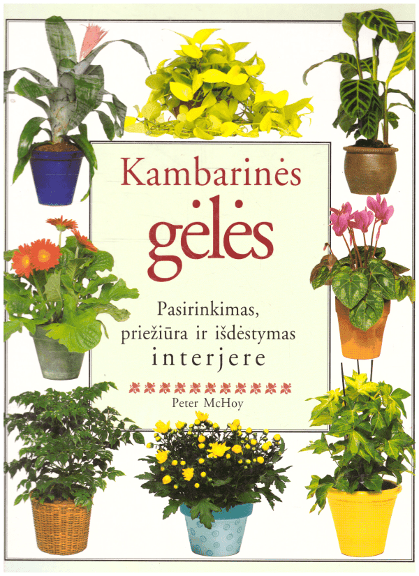 Kambarinės gėlės: pasirinkimas, priežiūra ir išdėstymas interjere - Peter McHoy