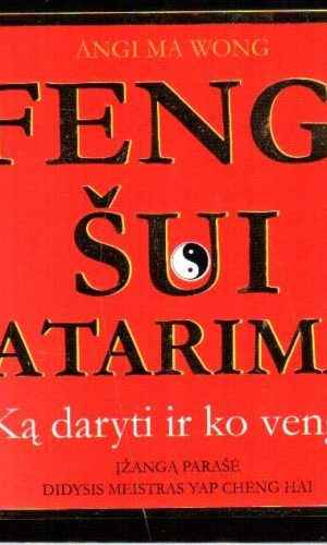 Feng-šui patarimai. Ką daryti ir ko vengti - Angi Ma Wong