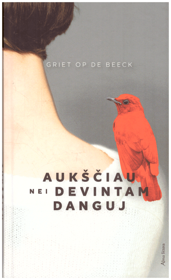 Aukščiau nei devintam danguj - Griet Op de Beeck