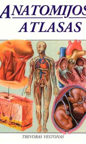 Anatomijos atlasas - Trevoras Vestonas