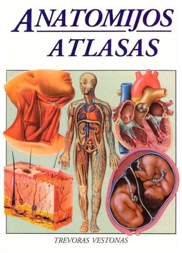 Anatomijos atlasas - Trevoras Vestonas