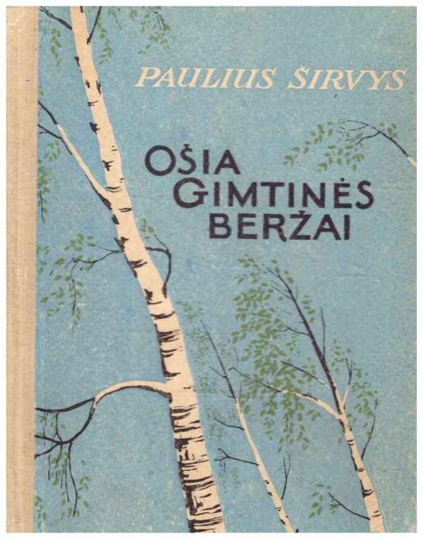 Ošia gimtinės beržai - Paulius Širvys
