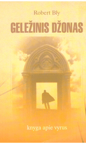 Geležinis Džonas: knyga apie vyrus - Robert Bly