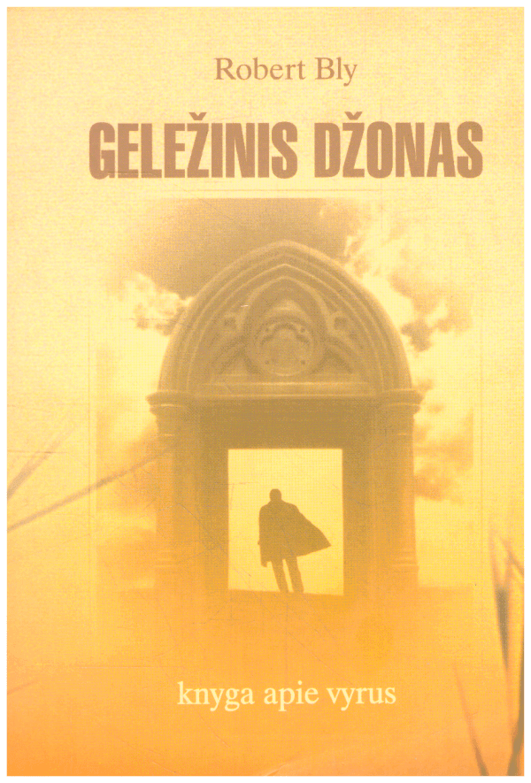 Geležinis Džonas: knyga apie vyrus - Robert Bly