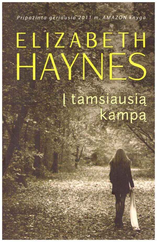 Į tamsiausią kampą - Elizabeth Haynes