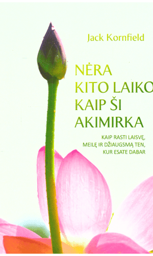 Nėra kito laiko kaip ši akimirka: kaip rasti laisvę, meilę ir džiaugsmą ten, kur esate dabar - Jack Kornfield