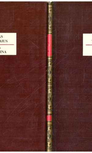 Ana Karenina (1,2 tomai) - Levas Tolstojus