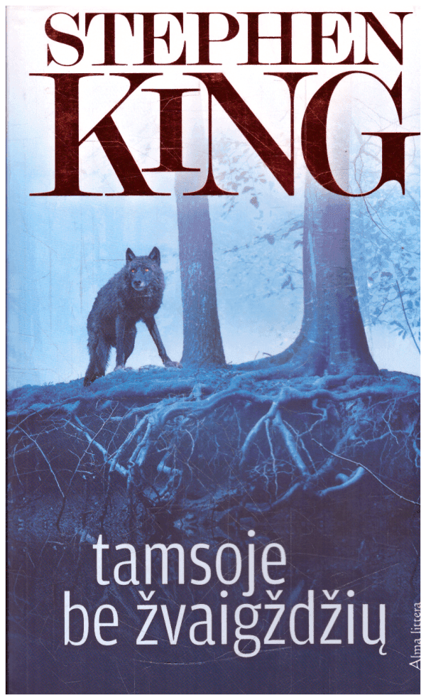 Tamsoje be žvaigždžių - Stephen King