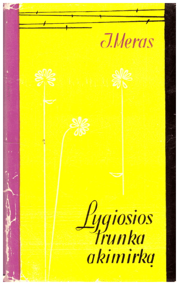 Lygiosios trunka akimirką - I. Meras