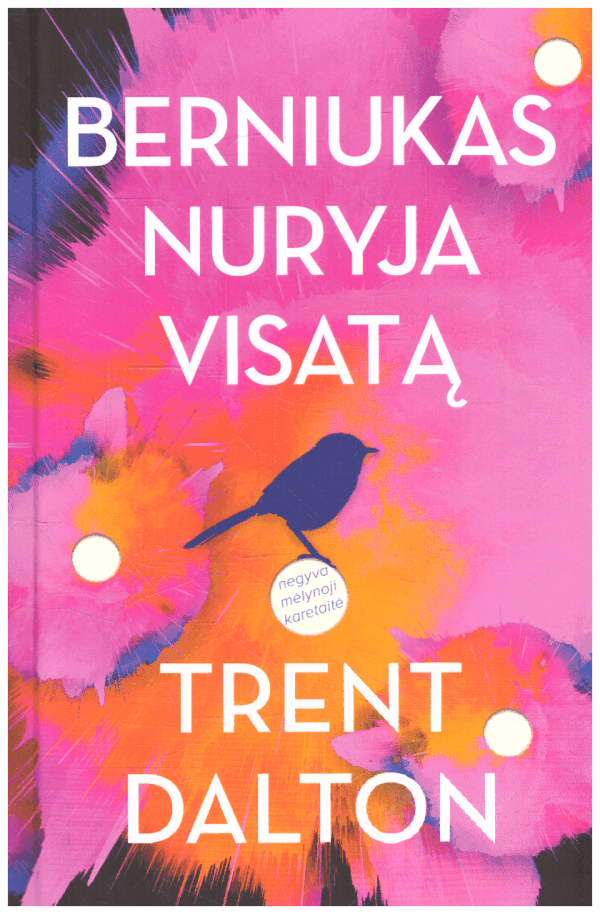 Berniukas nuryja visatą - Trent Dalton