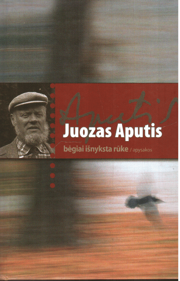 Bėgiai išnyksta rūke - Juozas Aputis