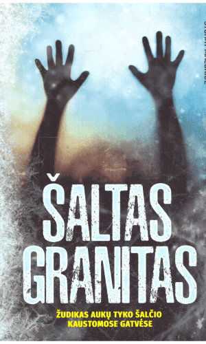 Šaltas granitas - Stuart MacBride