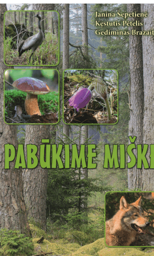 Pabūkime miške - Janina Šepetienė, Kęstutis Pėtelis, Gediminas Brazaitis