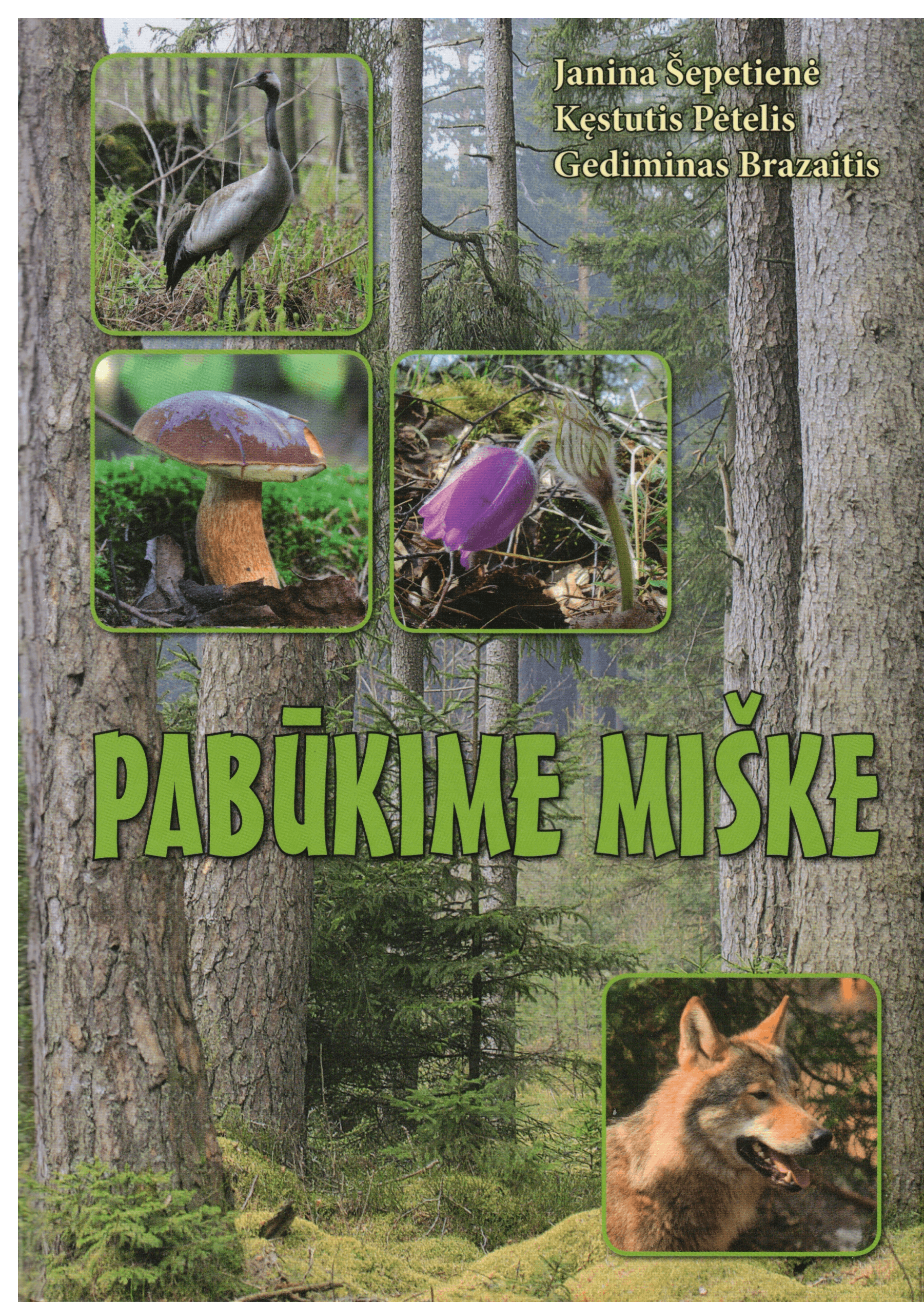 Pabūkime miške - Janina Šepetienė, Kęstutis Pėtelis, Gediminas Brazaitis