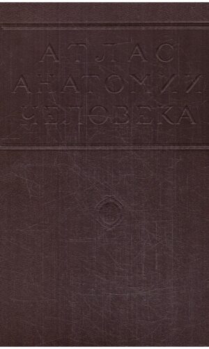 Атлас анатомии человека (2 том) (raumenys) - Р. Д. Синельников