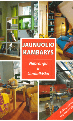 Jaunuolio kambarys: nebrangu ir šiuolaikiška