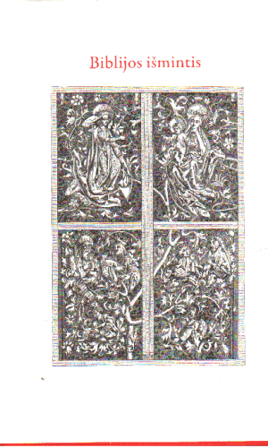 Biblijos išmintis - Iris Seidenstricker