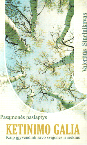 Ketinimo galia. Kaip įgyvendinti savo svajones ir siekius - Valerijus Sinelnikovas