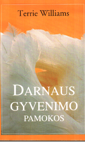Darnaus gyvenimo pamokos - Terrie Williams
