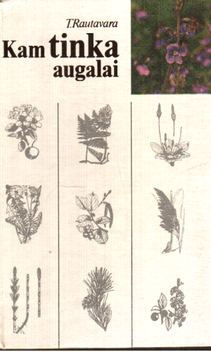 Kam tinka augalai - T. Rautavara
