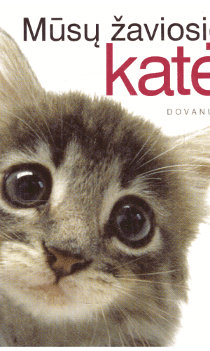 Mūsų žaviosios katės - Pam Brown