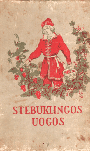 Stebuklingos uogos - A. Nečajevas