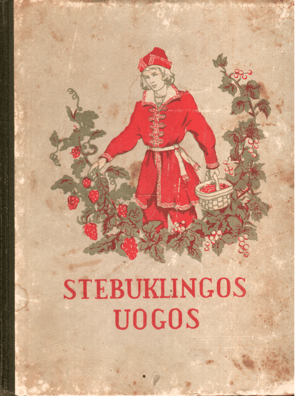 Stebuklingos uogos - A. Nečajevas