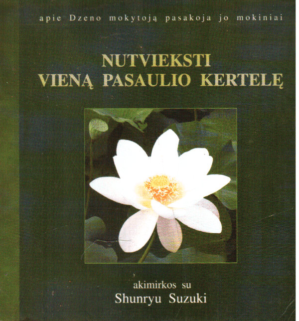 Nutvieksti vieną pasaulio kertelę - David Chadwick