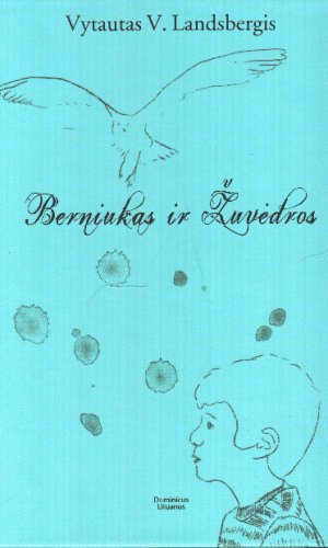 Berniukas ir žuvėdros - Vytautas V. Landsbergis