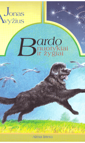 Bardo nuotykiai ir žygiai - Jonas Avyžius