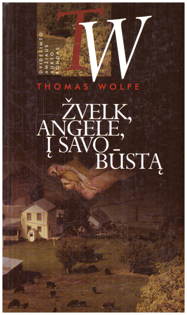Žvelk angele, į savo būstą - Thomas Wolfe