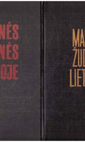 Masinės žudynės Lietuvoje 1941-1944 (1,2 dalys) - G. Erslavaitė