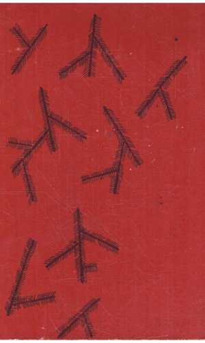 Pasakos - Broliai Grimai